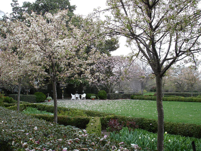 Rose Garden at the White House