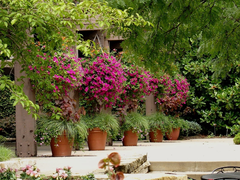 Wichita Gardens, Kansas