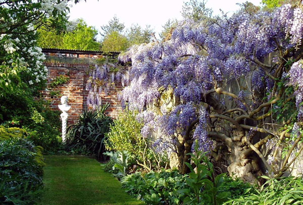 Wickham Place Farm Gardens