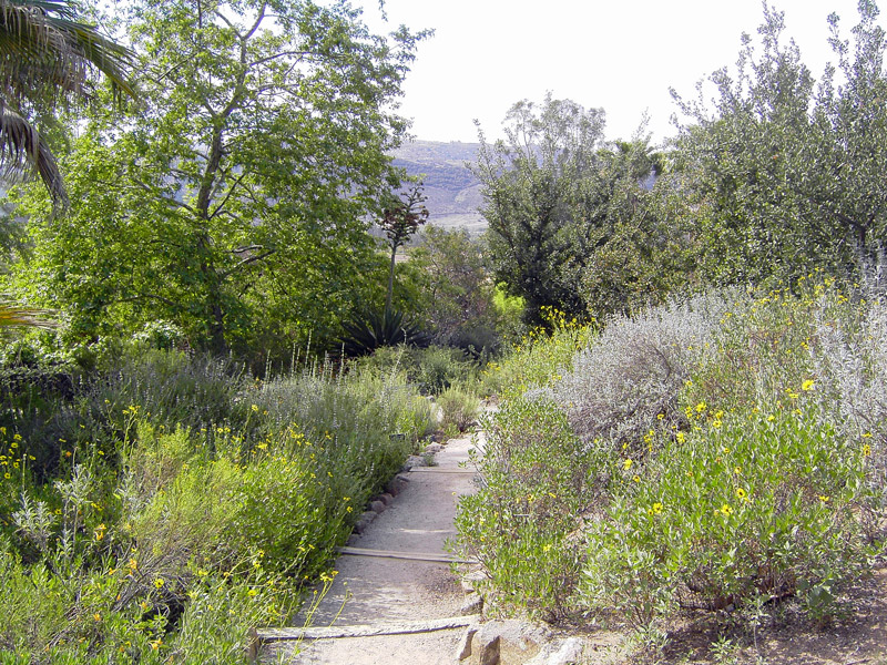 Nativescapes Garden, Wild Animal Park