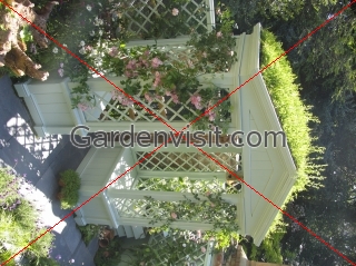 Wildlife Trusts Garden ,