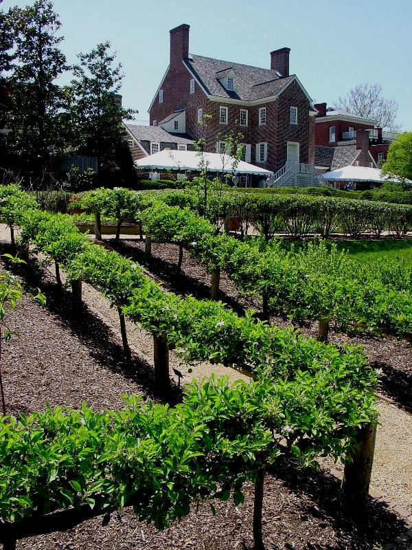 William Paca Garden, Annapolis