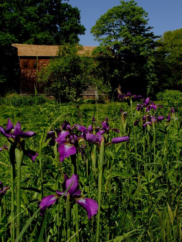 Willowwood Arboretum, NJ
