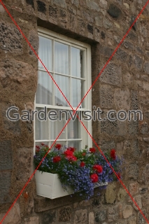 Window Box