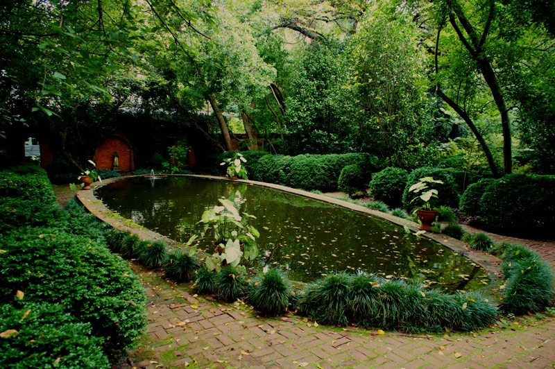 Pond, Wing Haven Gardens