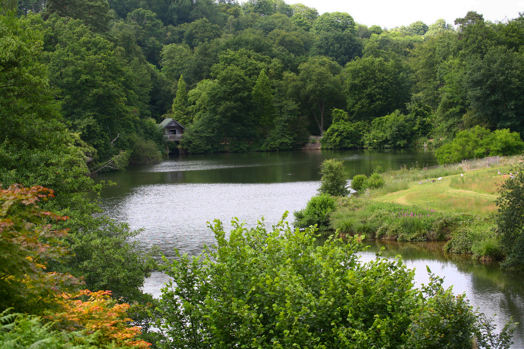 Winkworth Arboretum John Linwood