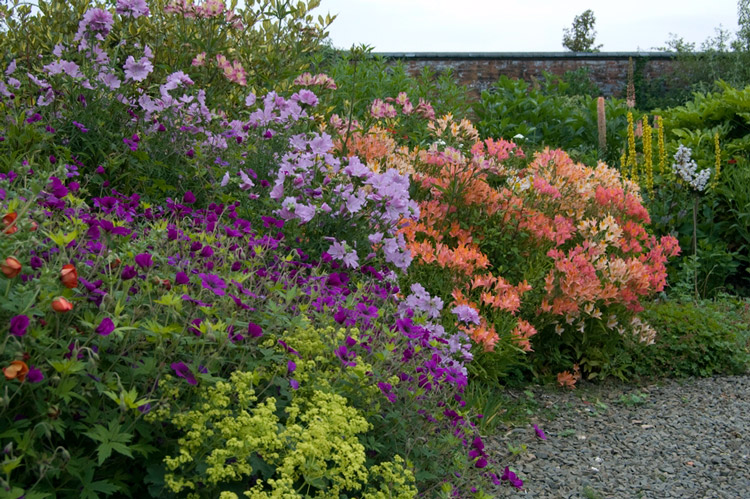 Border at Winsford Walled Garden