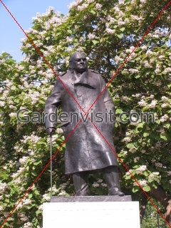 Winston Churchill