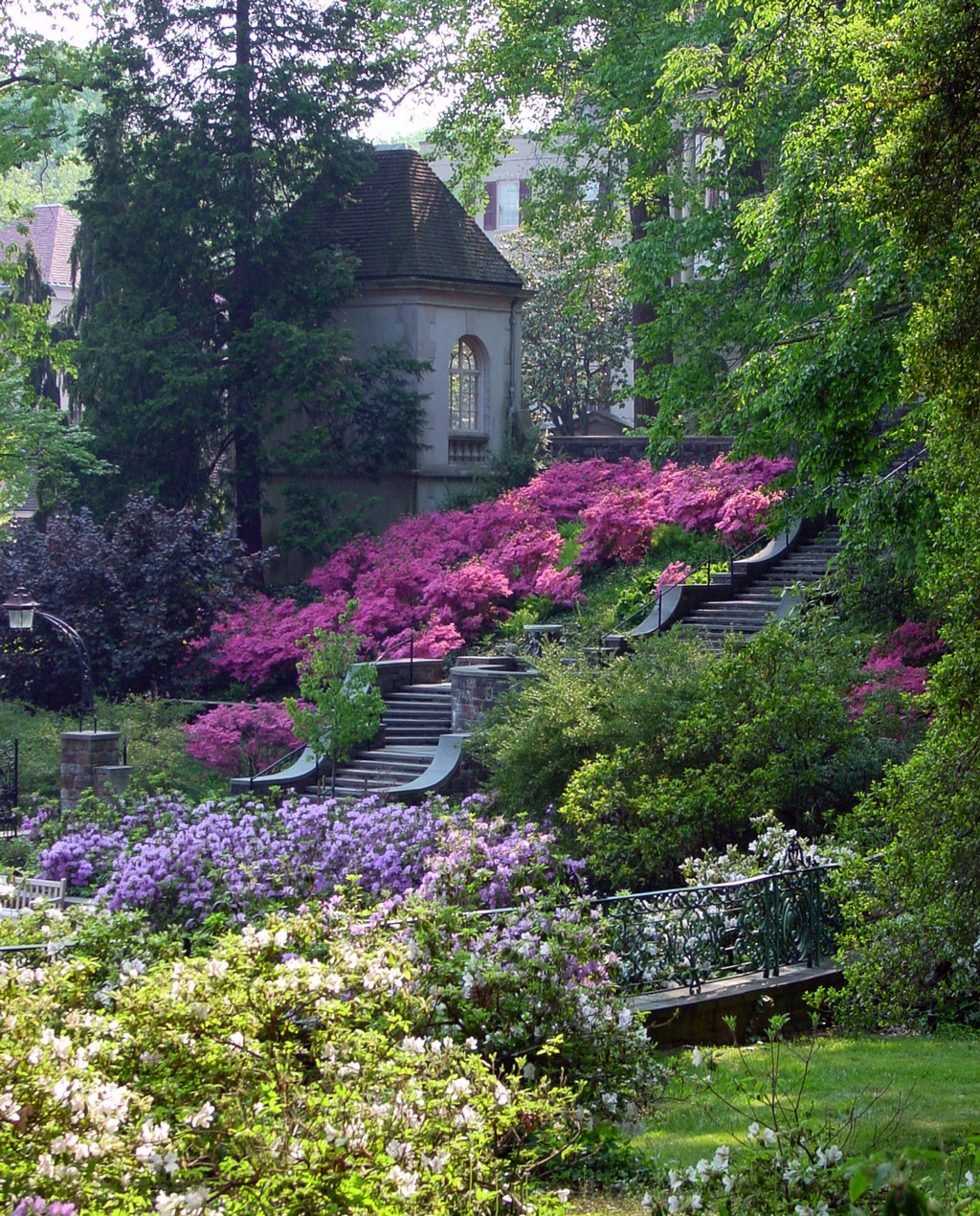 Steps, Winterthur Garden
