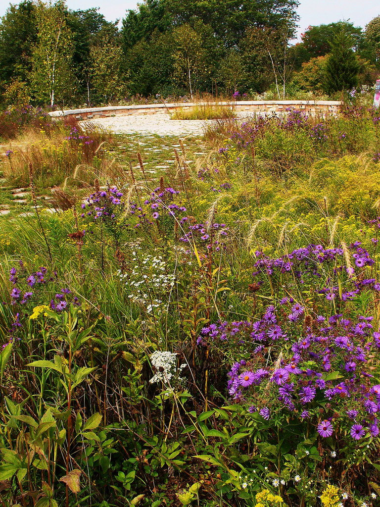 University of Wisconsin-Madison Arboretum, USA