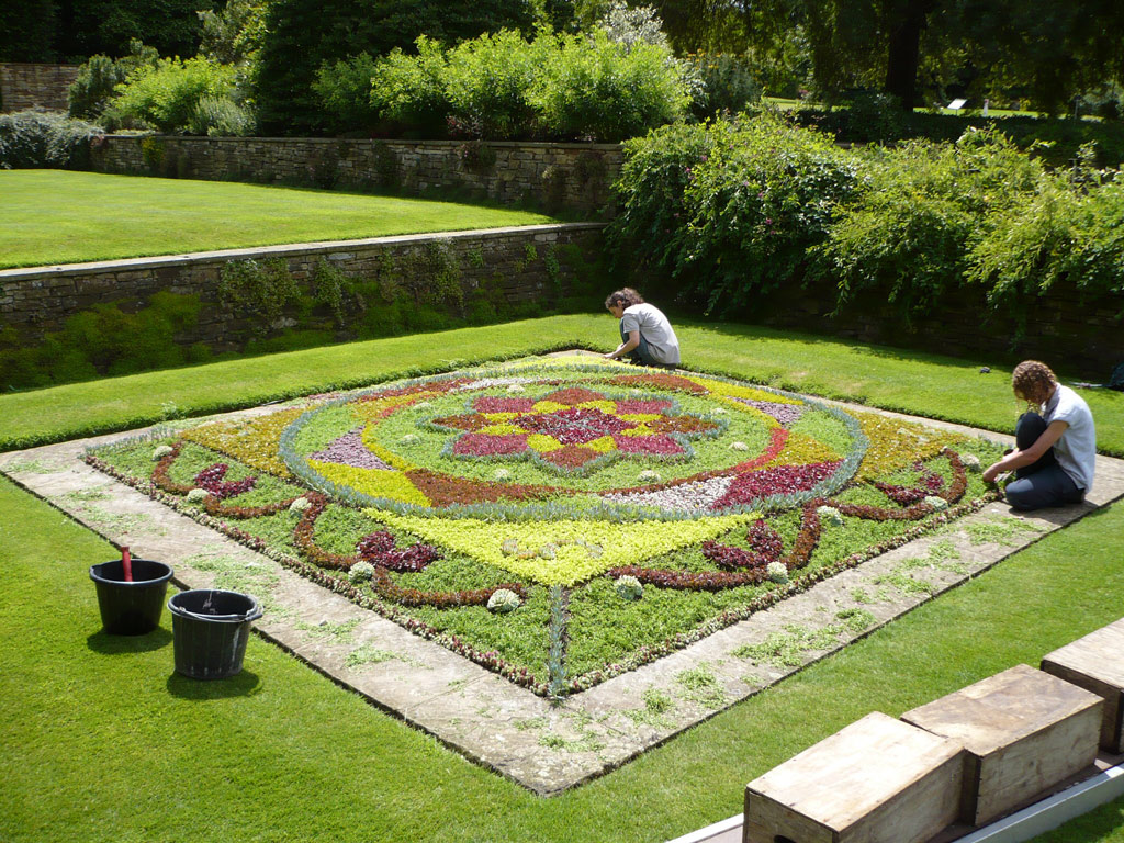 Carpet Bedding