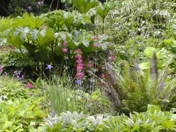 Wisley Garden 3