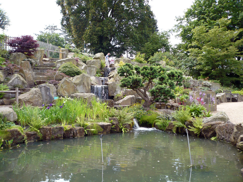 Japanese Garden, Wisley