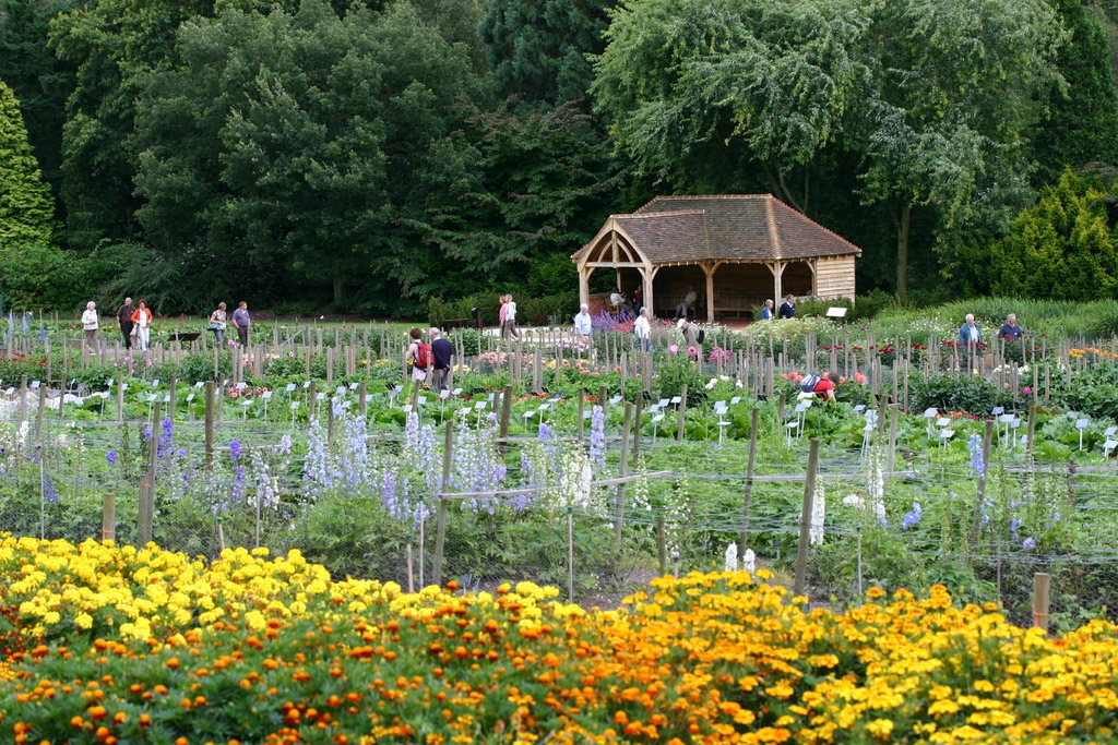 Wisley Plant Centre