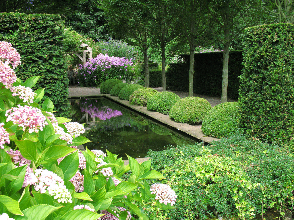 Wollerton Old Hall Garden KirscheTortschen
