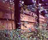 Wood fence