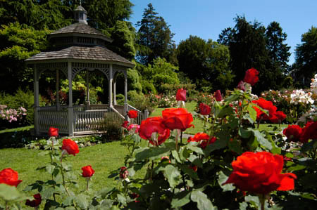 Woodland Park Rose Garden