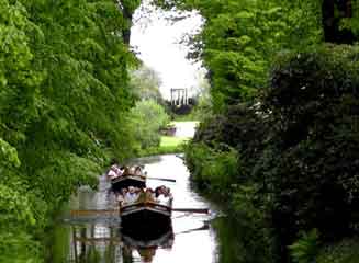 Worlitz landscape park1