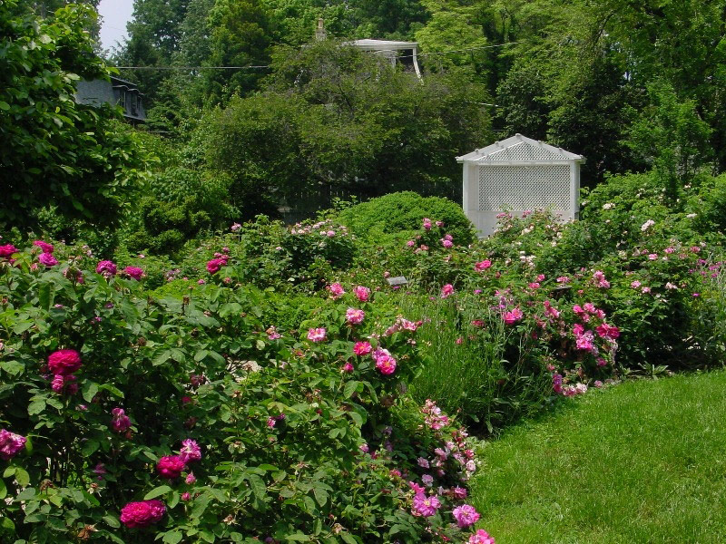 Wyck Garden, Pennsylvania
