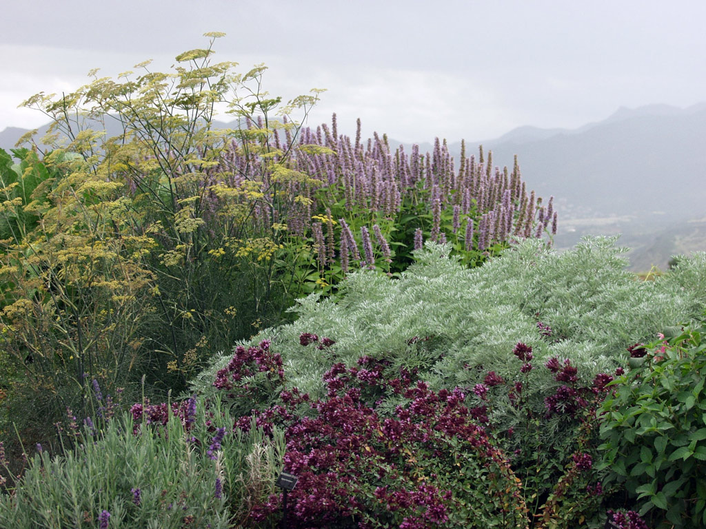 Xeriscape Demonstration Garden in Colorado Springs, September