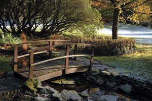 Ynyshir Hall Hotel, Powys