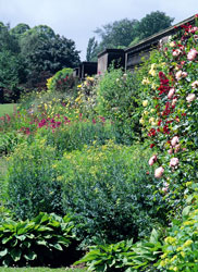 Yorkshiresculpturepark