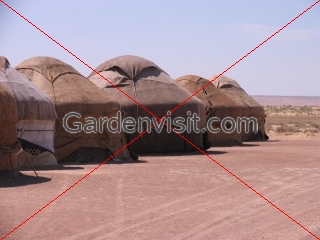 Yurt Camp Uzbekistan