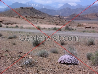Zagros Mountains Iran