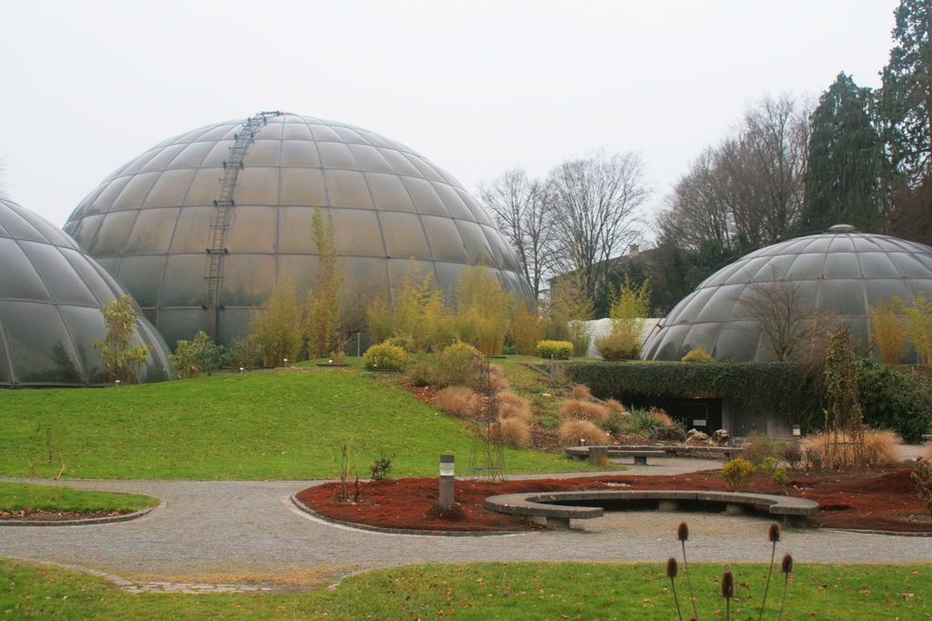 Zurich University Botanical Gardens Tim Parker