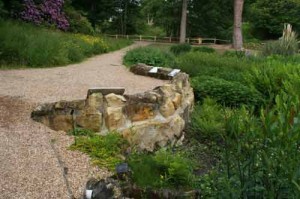 The bog garden at Wakehurst Place