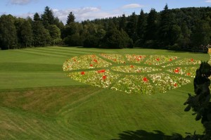 The old bedding pattern managed as a wildflower meadow