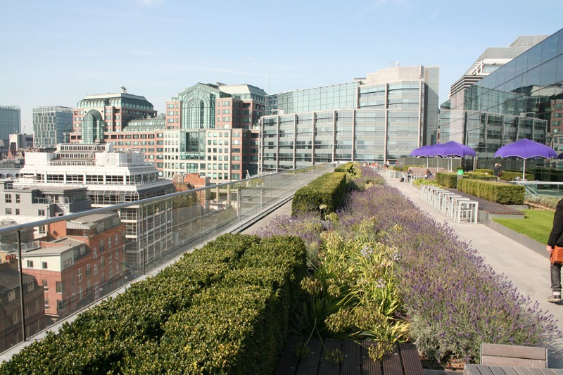 London with a green roof Garden Design And Landscape ...