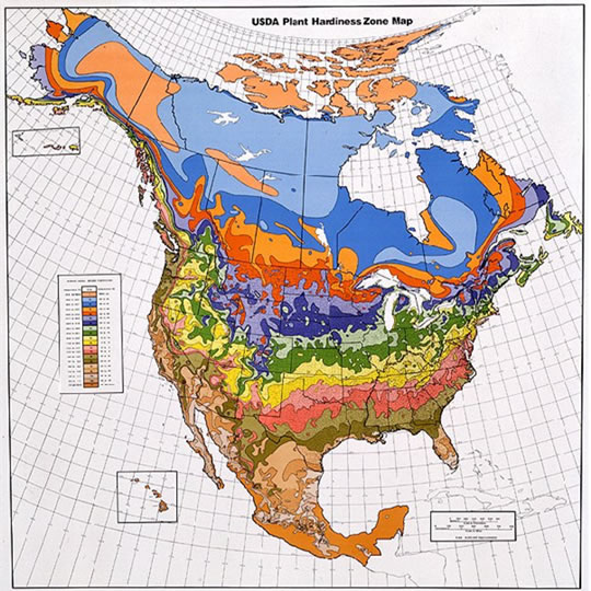 usda_hardiness_map