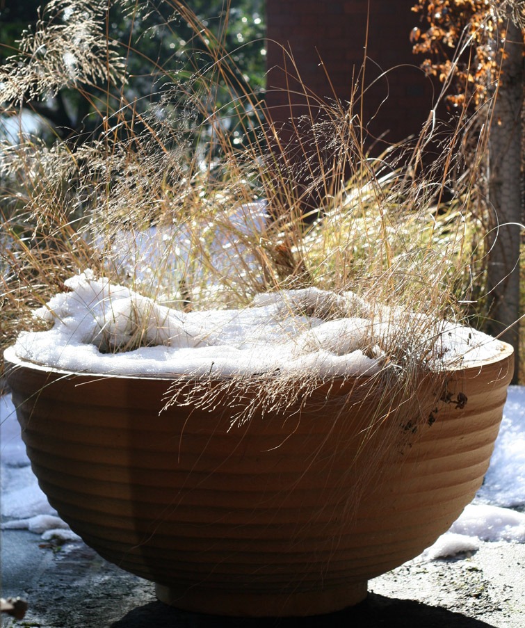 Terracotta coloured fiberglass planter in winter