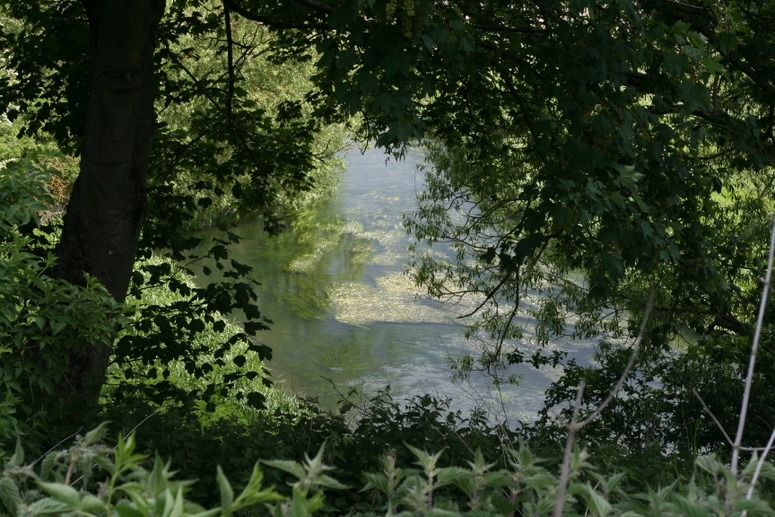 The River Avon, near Durrington Walls and Stonehenge, might have been as sacred as the River Ganges at Varanasi