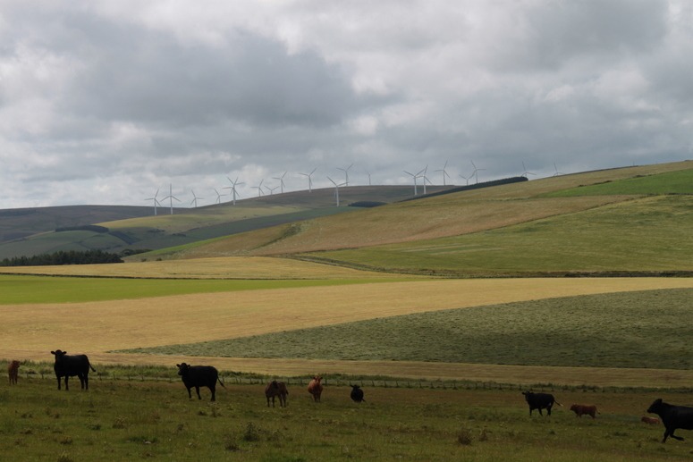Are the wind turbines a welcome addition to the landscape scenery?