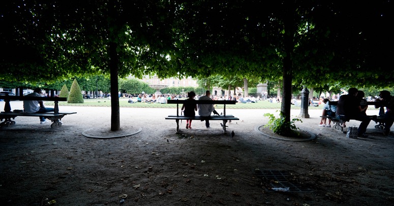     In addition to being beautiful, the trees and gravel in the Place des Vosges are good for microclimate, wildlife and hydrology.