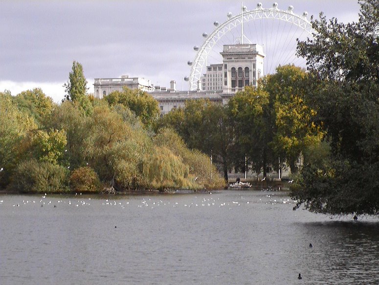 Seen from St James Park, the London Eye makes Whitehall resemble a themed hotel in Disneyland