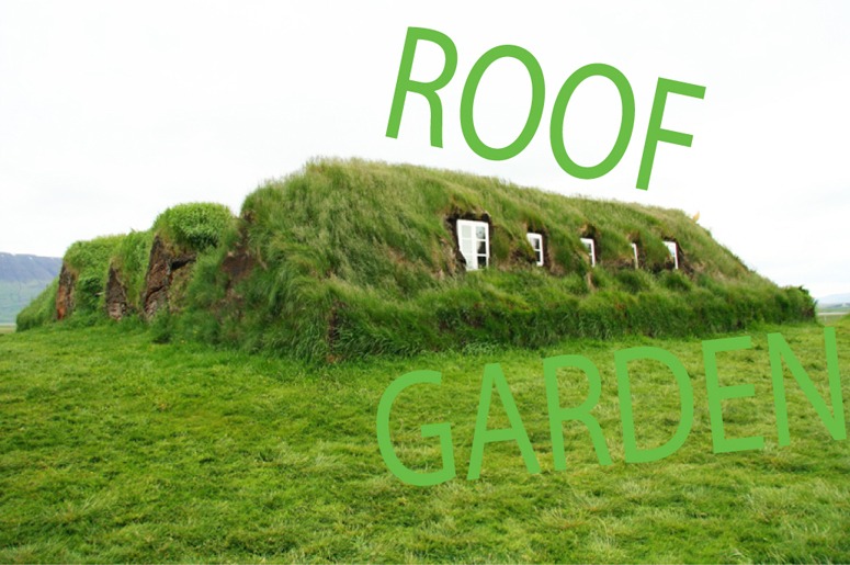 Turf roof gardens for the twentyfirst century?