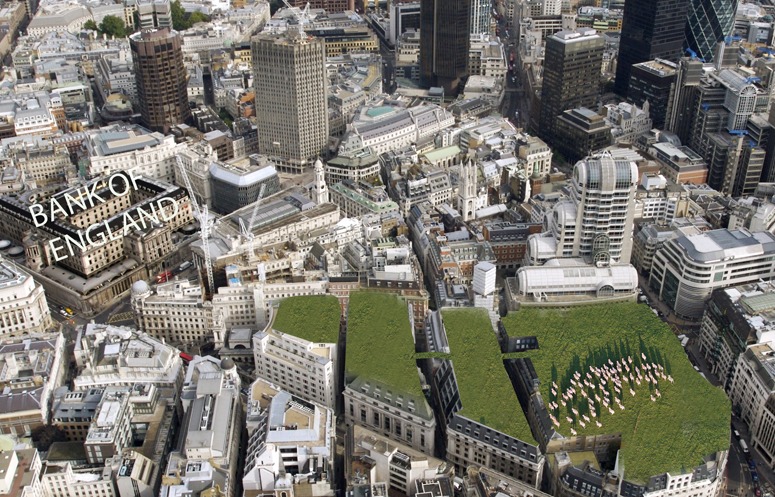 London green roofs with flock of sheep to calm bankers