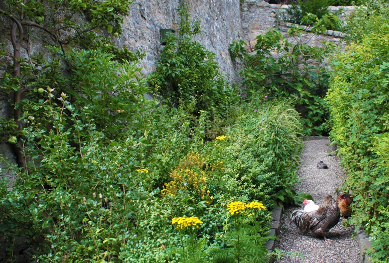 Food Garden