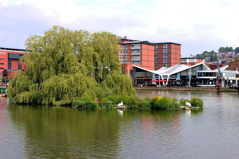 The Swan Island (with a willow tree) and the recently made floating islands in Brayford Pool (Lincoln)