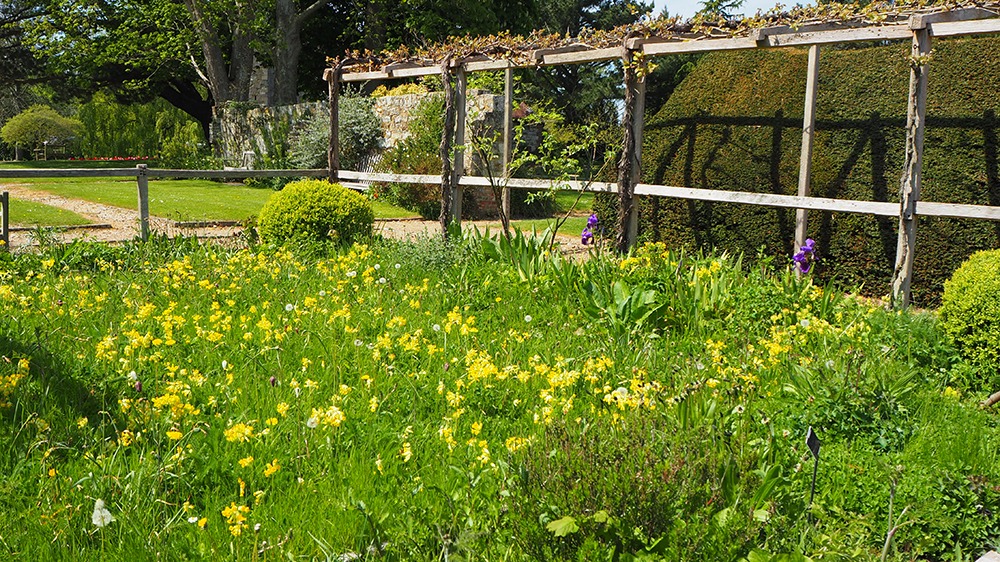 Michelham Priory Medieval Garden