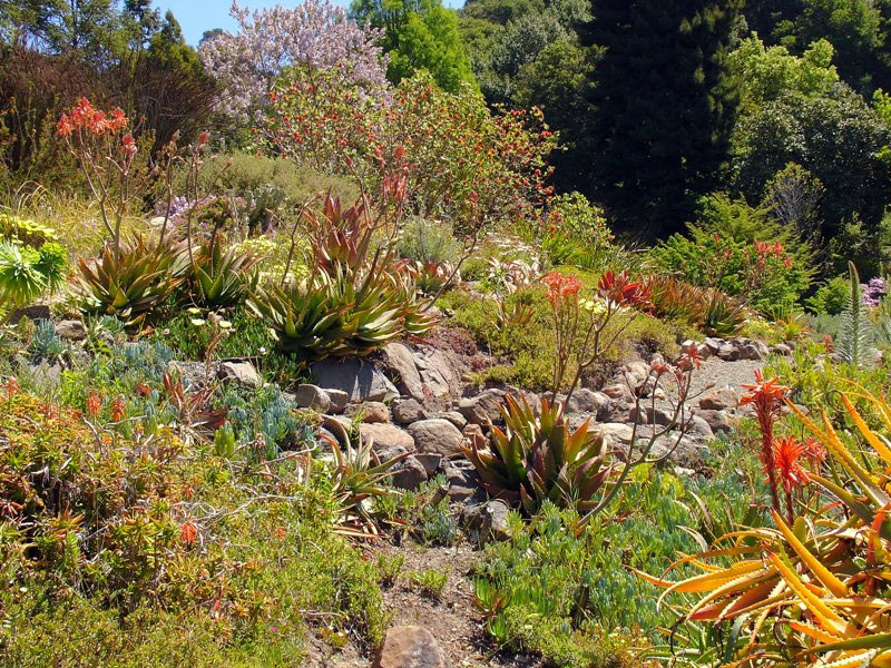 University of California Botanical Garden
