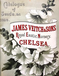 Veitch & Sons Nursery Cataogue