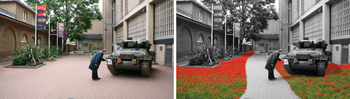 National Army Museum Poppy Garden