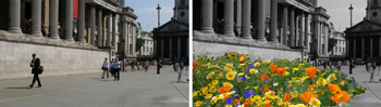 National Gallery Flower Festival Trafalgar Square