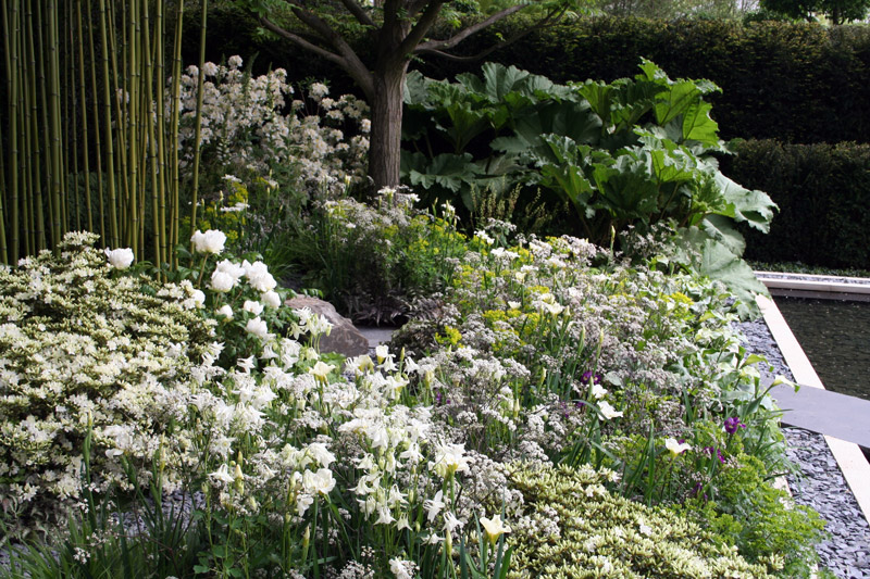 The Daily Telegraph Garden - designer Arabella Lennox-Boyd